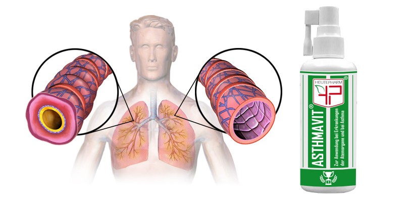 ASTHMAVIT. Растительное средство против бронхиальной астмы (спрей)