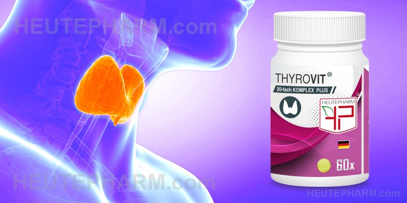 ThyroVit ® При нарушениях функций щитовидной железы