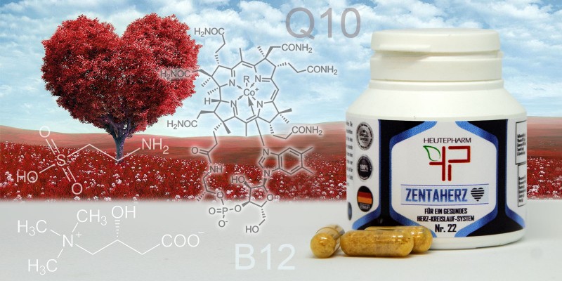 ZENTAHERZ Для здорового сердца и системы кровообращения, 60 капс